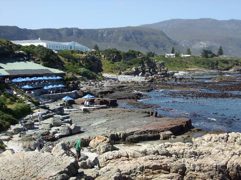 Hermanus (13) 